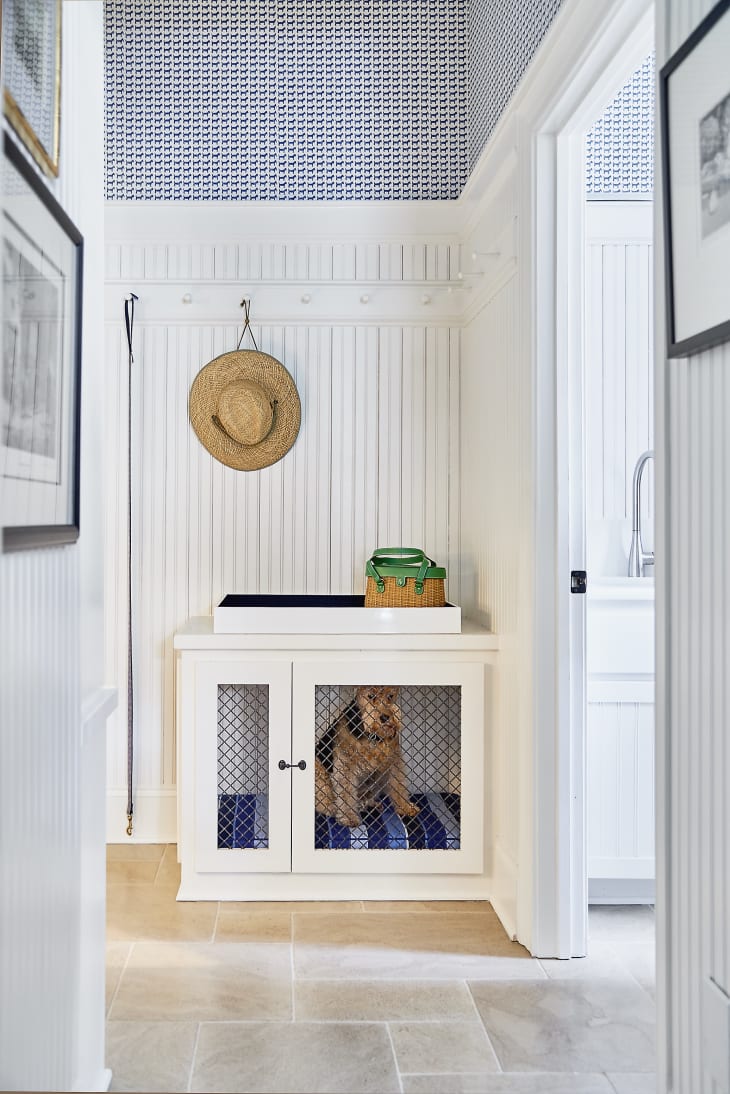 Dog area in house ideas cheap